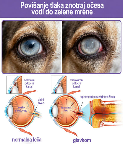 👩‍⚕️ Tainun® EyeRelief kapljice za oči za hišne ljubljenčke ✅ CE odobreno | Hitra pomoč pri vnetju veznice, suhih očeh, sivi mreni in keratitisu 🐶🐱