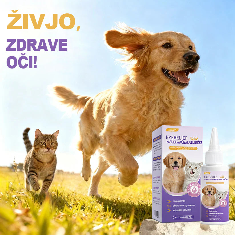 Tainun® PetNano Kapljice za oči za hišne ljubljenčke ✅ Odobreno s strani CE | Hitro olajšanje pri konjunktivitisu, suhih očeh, katarakti in keratitisu 🐶🐱