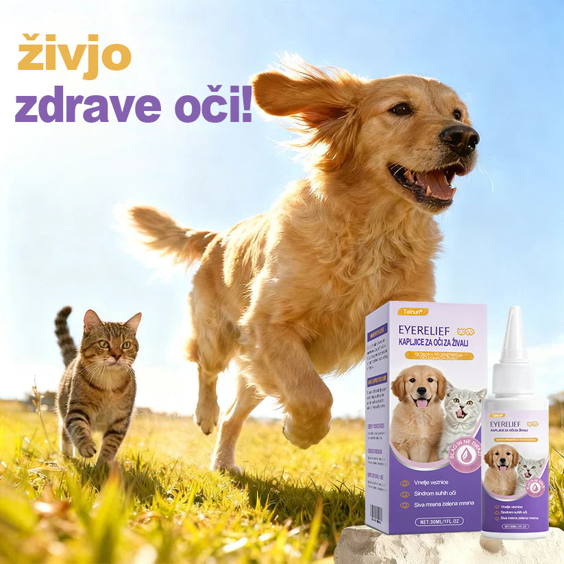 👩‍⚕️ Tainun® EyeRelief kapljice za oči za hišne ljubljenčke ✅ CE odobreno | Hitra pomoč pri vnetju veznice, suhih očeh, sivi mreni in keratitisu 🐶🐱