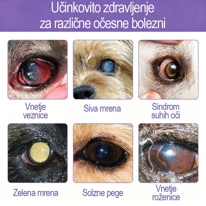 Tainun® PetNano Kapljice za oči za hišne ljubljenčke ✅ Odobreno s strani CE | Hitro olajšanje pri konjunktivitisu, suhih očeh, katarakti in keratitisu 🐶🐱