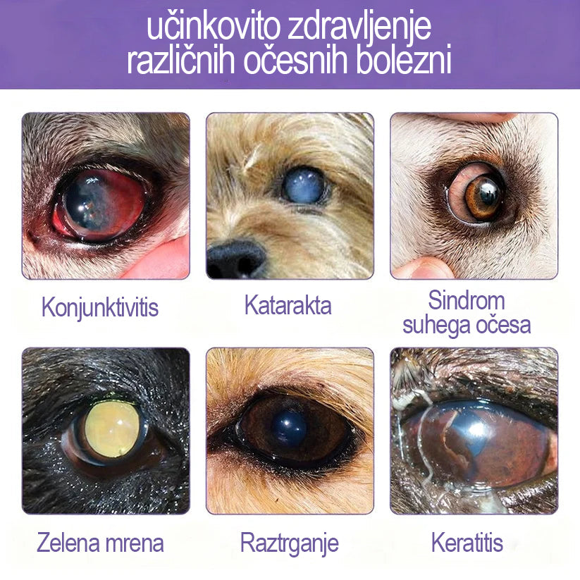 👩‍⚕️ Tainun® EyeRelief kapljice za oči za hišne ljubljenčke ✅ CE odobreno | Hitra pomoč pri vnetju veznice, suhih očeh, sivi mreni in keratitisu 🐶🐱