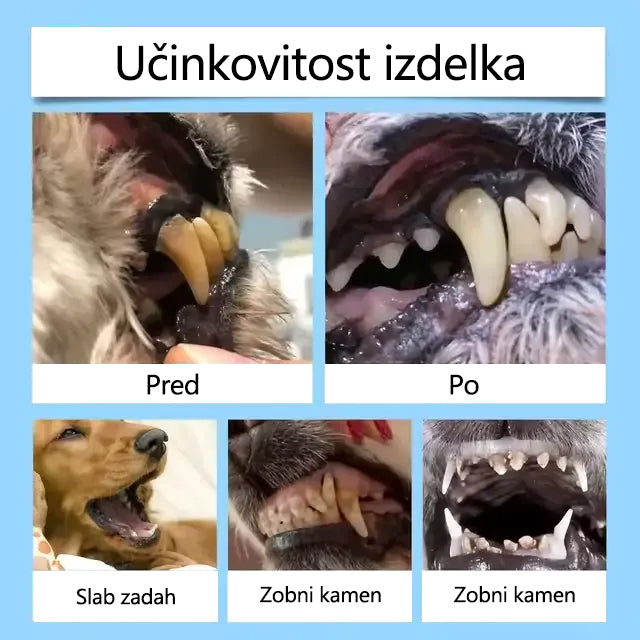 🐶🐱[🇸🇮 Uradna Trgovina] 𝐓𝐚𝐢𝐧𝐮𝐧® Oralna tekočina za podporo zobnemu in prebavnemu zdravju živali – svež zadah, odstranjevanje zobnega kamna in podpora regeneraciji dlesni ter stabilizaciji zob (za mačke in pse) – Danes 70 % popusta!