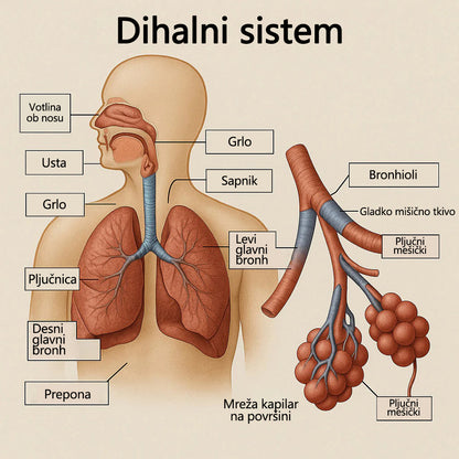 Tainun® HerbaAir zeliščni sprej za čiščenje pljuč ✨ 🌿 Raztaplja sluz · 🔥 Zmanjšuje draženje · 🌬️ Olajša neprijetnosti pri dihanju